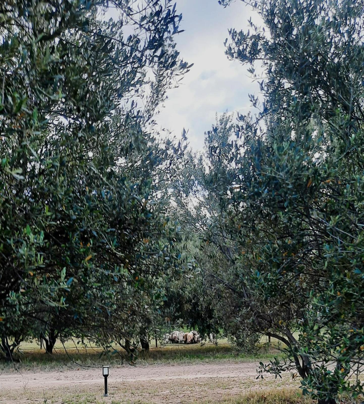Finca La Calma 산라파엘 외부 사진